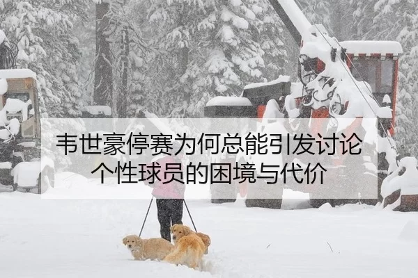 韦世豪停赛为何总能引发讨论 个性球员的困境与代价 | 8868app